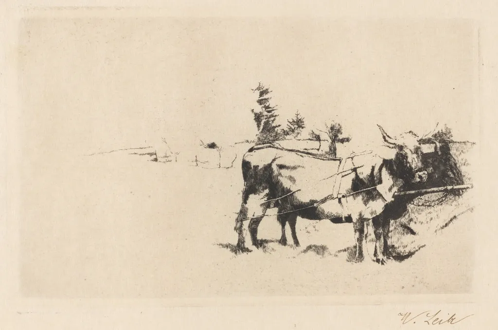 Team of Oxen in Harness, by Wilhelm Leibl, ink, 1876
