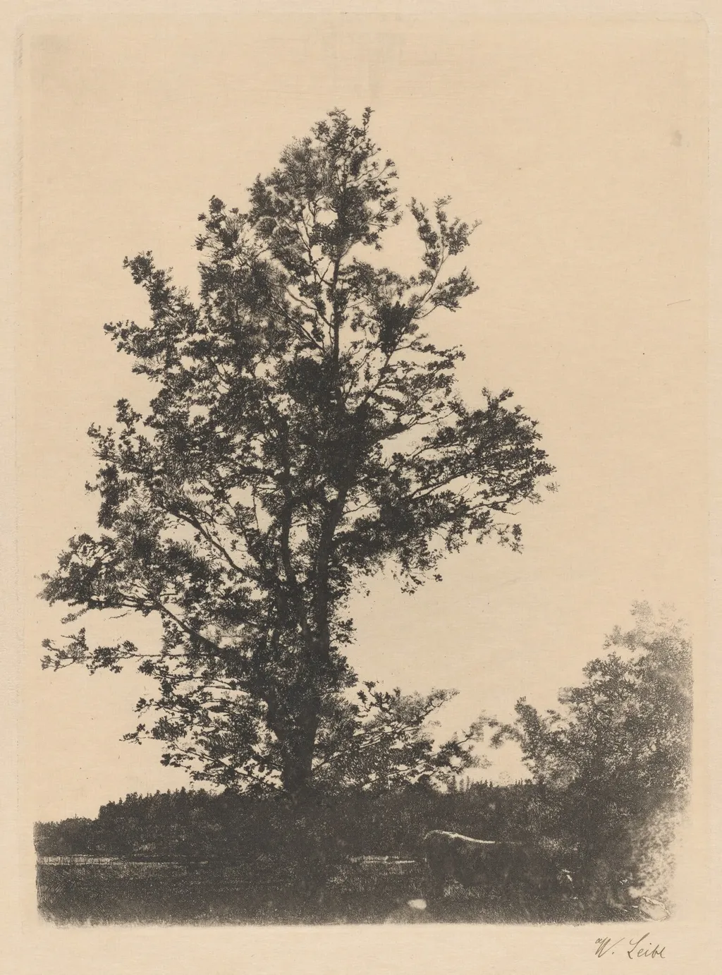 The Large Tree, by Wilhelm Leibl, ink, 1874