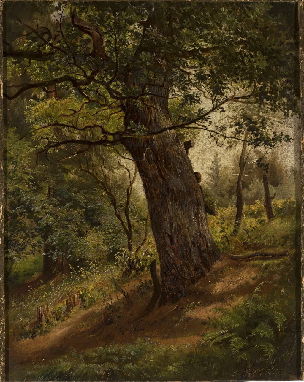 Study of a tree, by Wilhelm Peter Bayer, unspecified, 1861