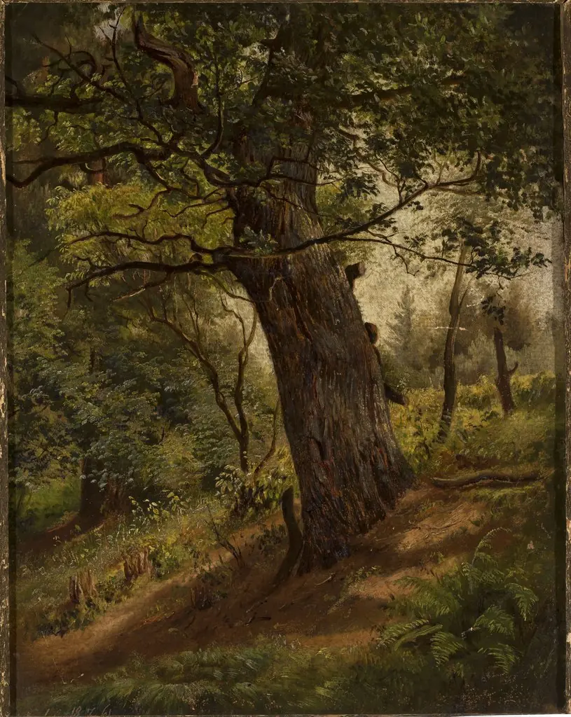 Study of a tree, by Wilhelm Peter Bayer