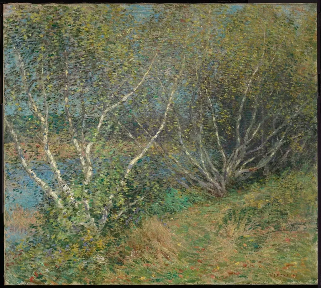The Birches, by Willard Metcalf, oil, 1906