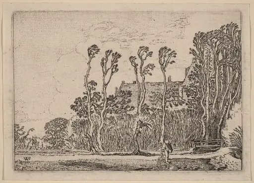The Sower, by Willem Buytewech
