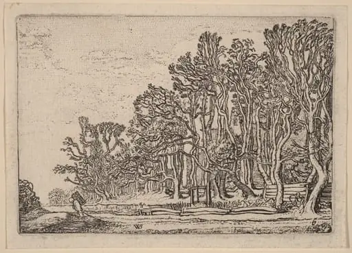 Two Plank Hedges, by Willem Buytewech