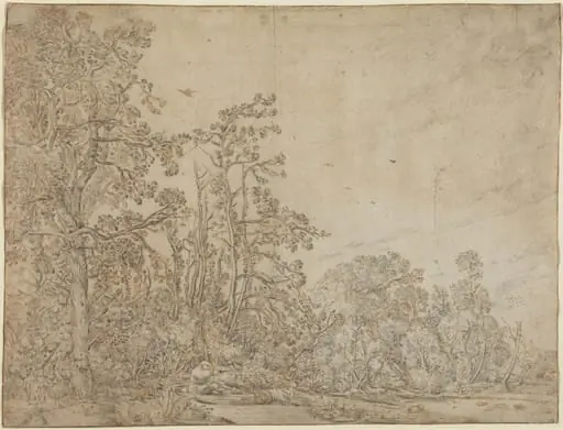 Woodland Pond with a Fisherman, by Willem Buytewech