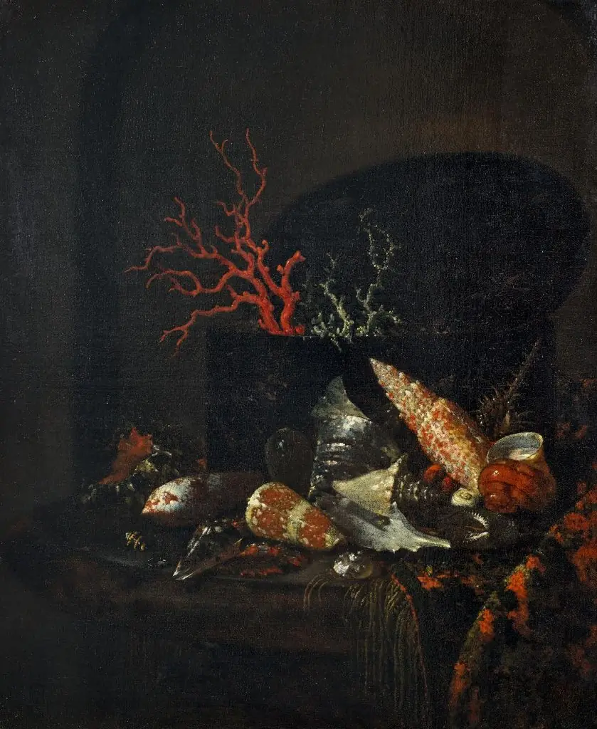 Stillleben mit Meerschnecken, by Willem Kalf