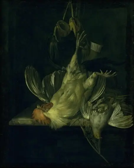 A Dead White Cock