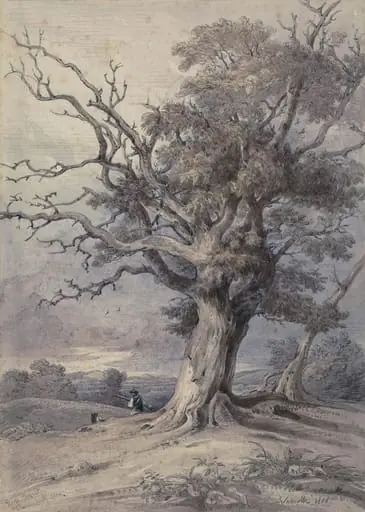 Horse Chestnut, Thame Park, Oxon, by William Alfred Delamotte