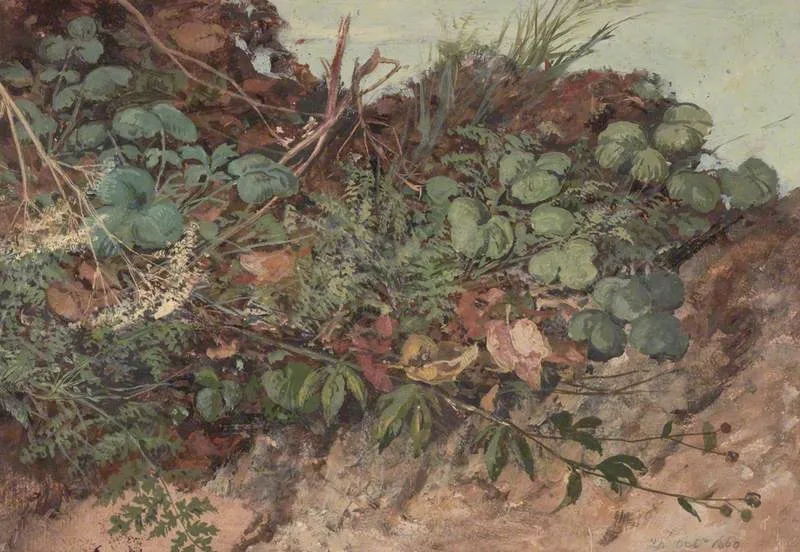 Study of Undergrowth, by William Bell Scott, unspecified, 1860