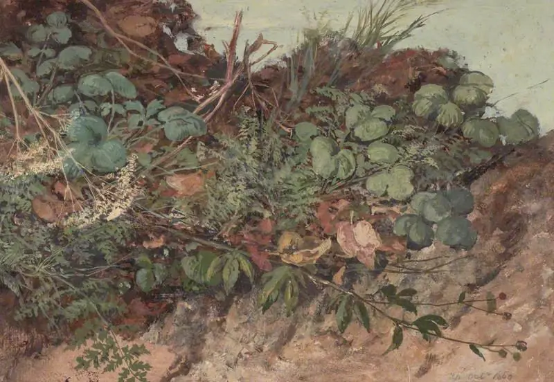Study of Undergrowth, by William Bell Scott