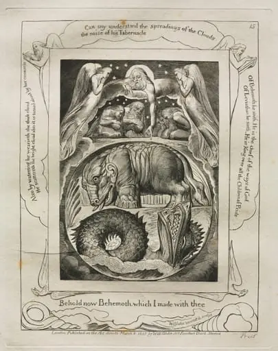 The Book of Job: Pl. 15, Behold now Behemoth which I made with thee, by William Blake
