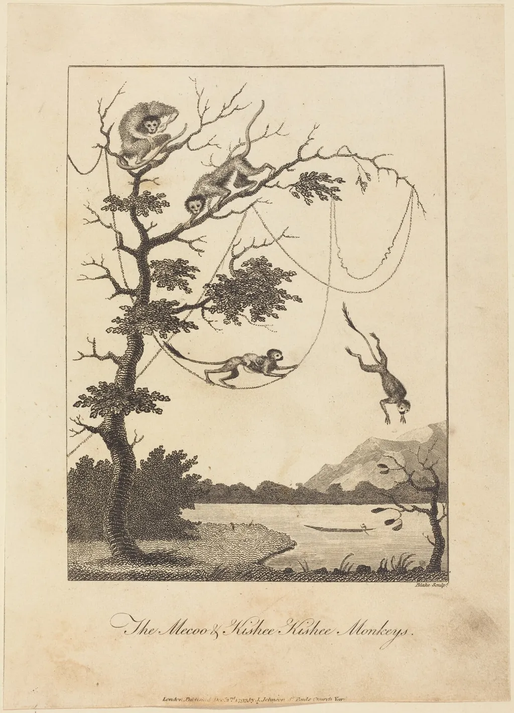 The Mecoo & Kisbee Kishee Monkeys, by William Blake, ink, 1793