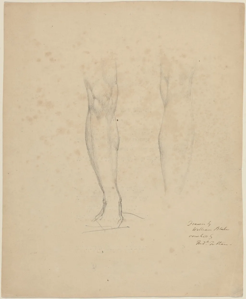 Two Legs, by William Blake, graphite, 1808