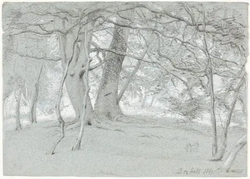 Trees at Box Hill, by William Blake, Sir Richmond