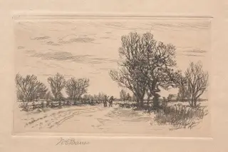 Landscape