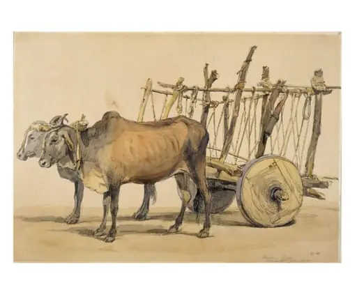 Deccani bullock cart