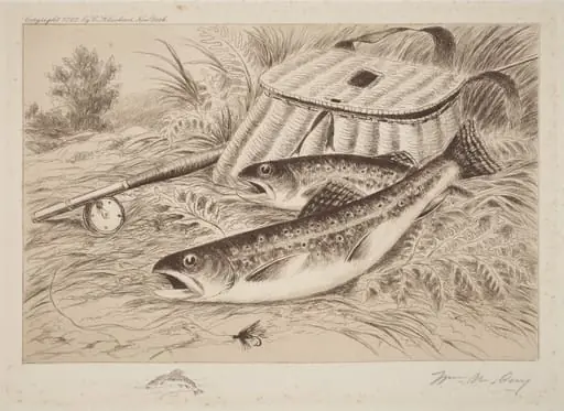 A Good Catch