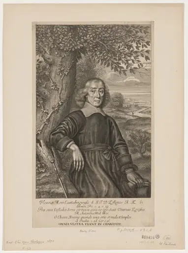 Henry More, by William Faithorne