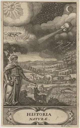 The Creation of Animals, by William Faithorne