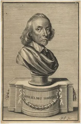 William Harvey, M.D., by William Faithorne