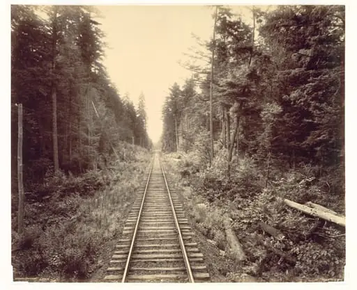 Hemlock Forest, Lehigh Valley Railroad, by William H. Rau