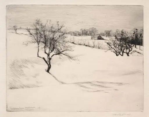 The Hillside Farm, by William H. W. Bicknell, 1916