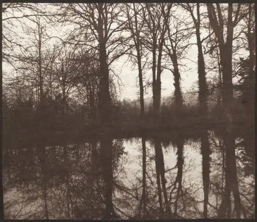 Winter Trees Reflected in a Pond, by William Henry Fox Talbot