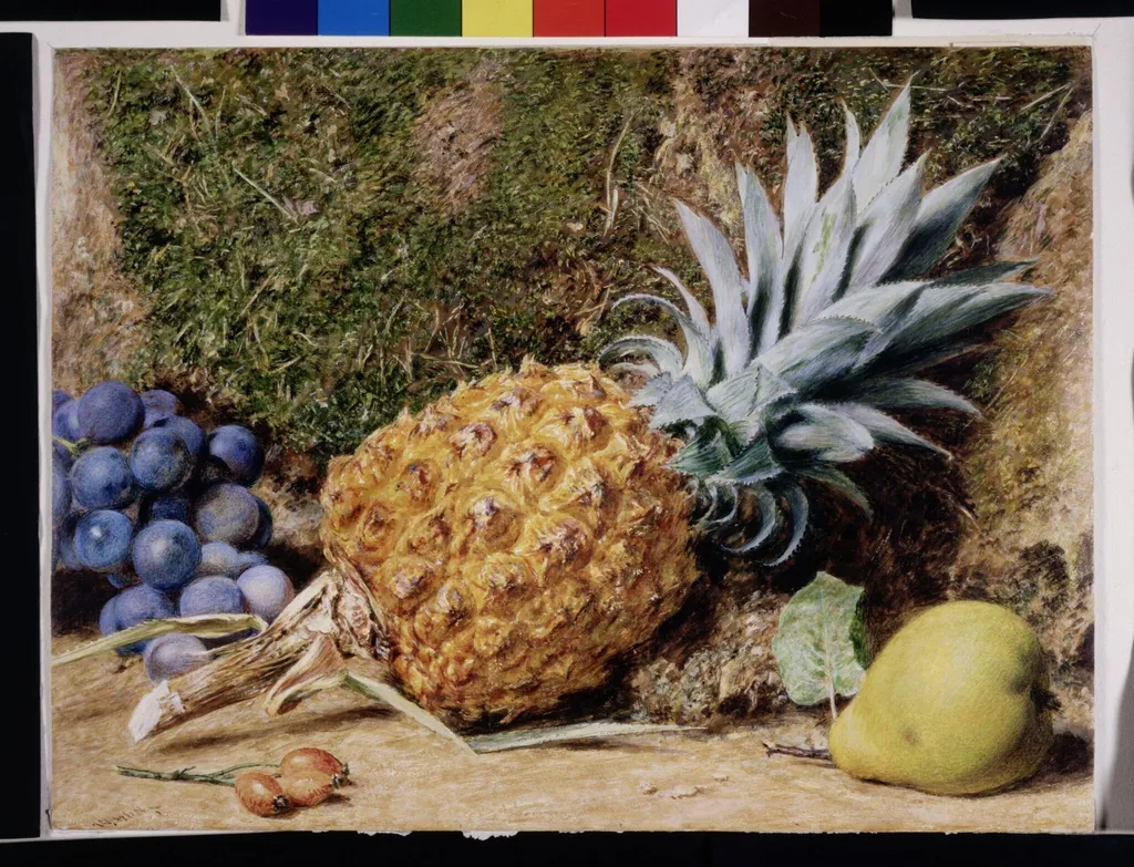 Pinapple with other fruit, by William Henry Hunt, watercolor, 1837