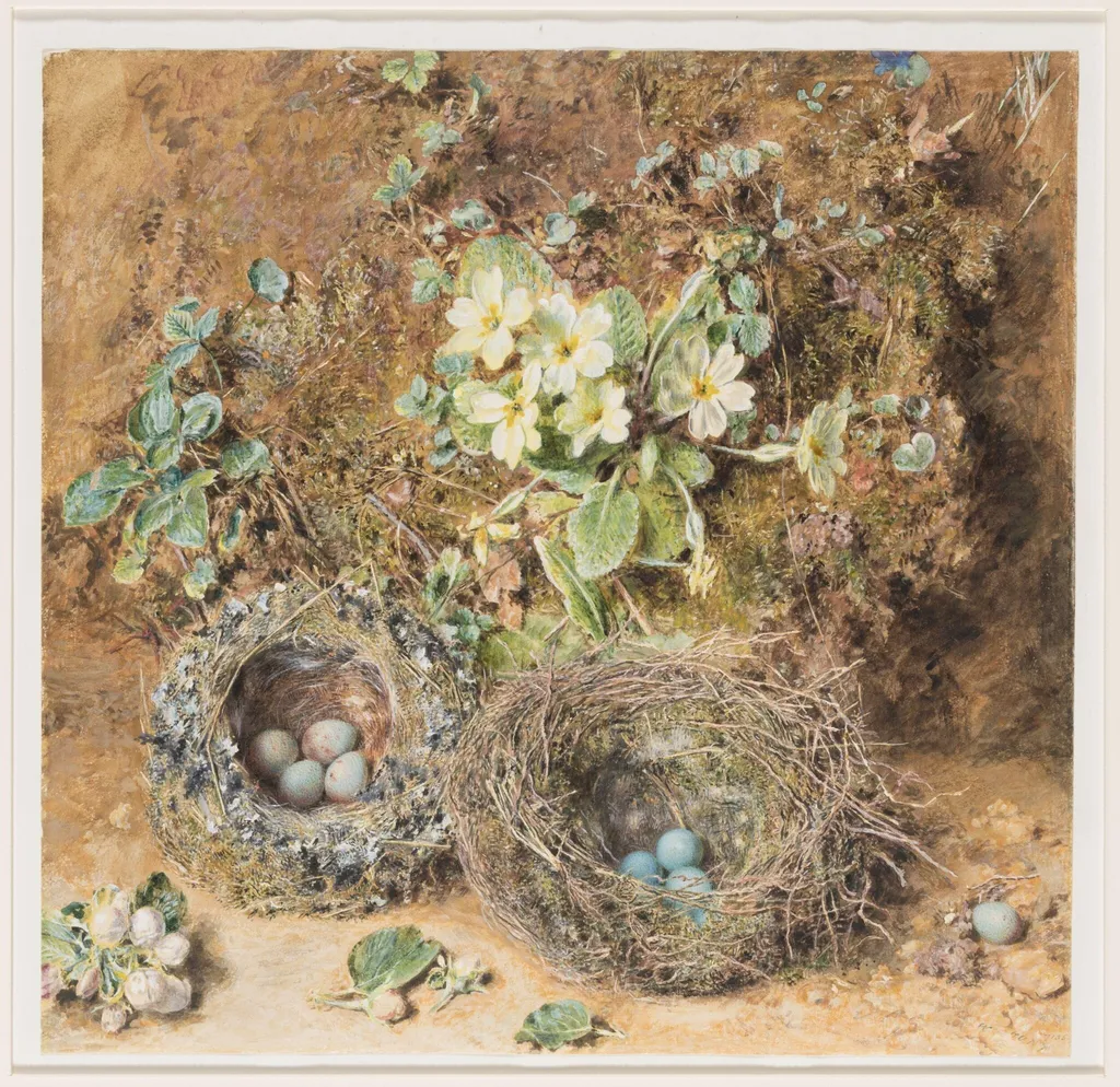 Primroses and Bird's Nests, by William Henry Hunt, watercolor, 1850