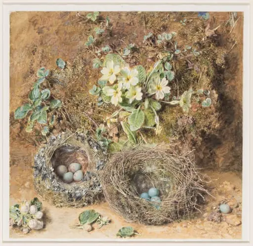 Primroses and Bird's Nests, by William Henry Hunt