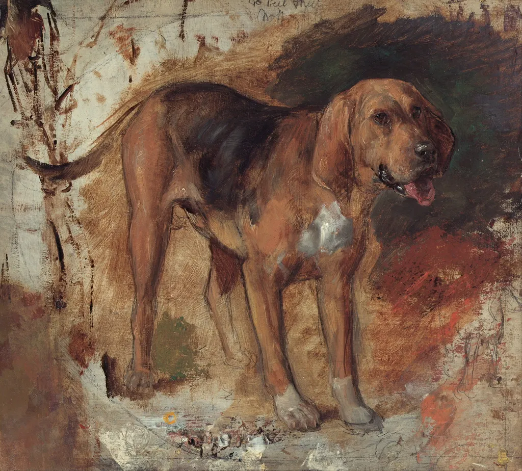Study of a bloodhound, by William Holman Hunt, unspecified, 1848