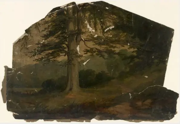A Cedar of Lebanon, by William Howis junior