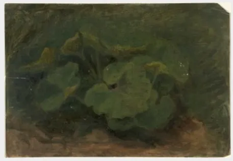Plants, by William Howis junior, unspecified, 1842