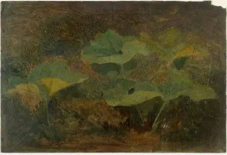 Plants, by William Howis junior
