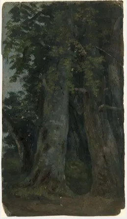 Trees, by William Howis junior, unspecified, 1852
