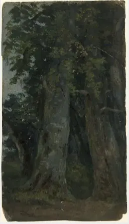 Trees, by William Howis junior