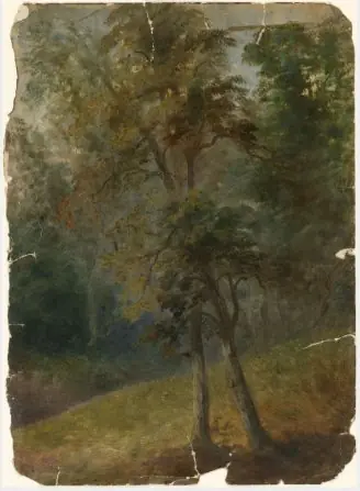 Entwined Trees, by William Howis senior