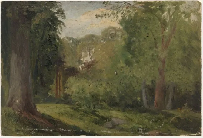Trees in Phoenix Park, Dublin, by William Howis senior, unspecified, 1864