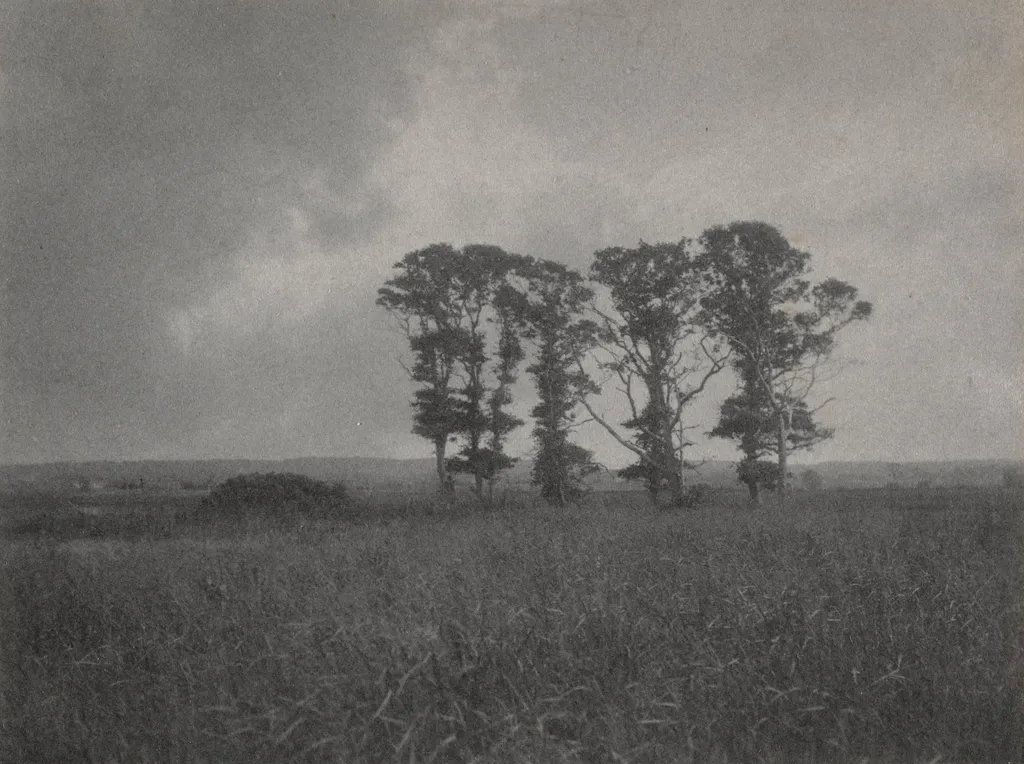 Untitled, by William J. Mullins, 1900