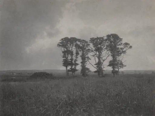 Untitled, by William J. Mullins