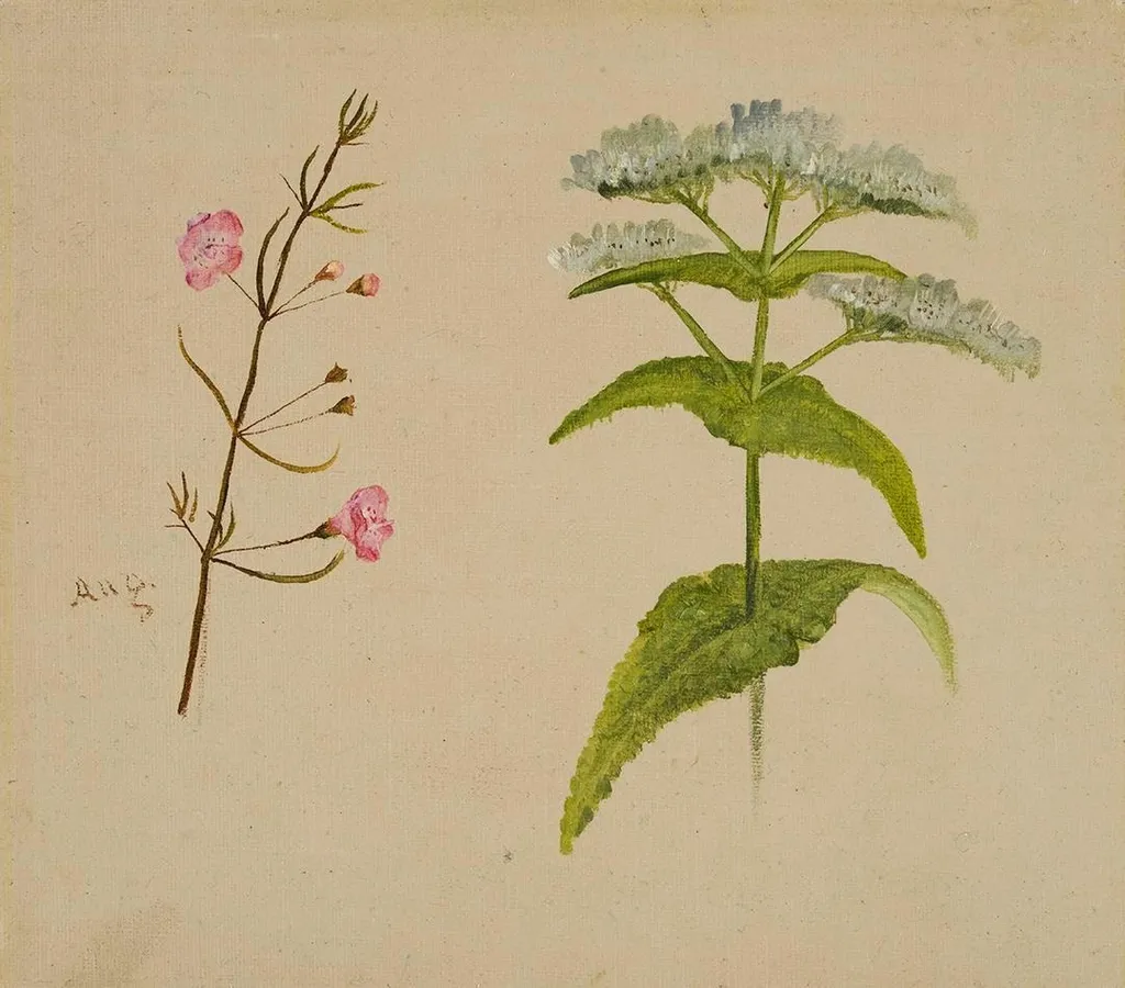 Two Wildflowers (Gerardia/Eupatorium (Boneset)), by William Jacob Hays, oil, 1867