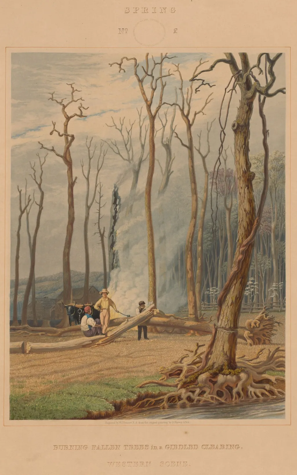 Spring--Burning Fallen Trees in a Girdled Clearing. Western Scene, by William James Bennett, ink, 1841