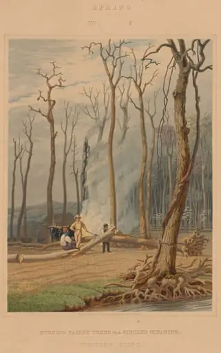 Spring--Burning Fallen Trees in a Girdled Clearing. Western Scene, by William James Bennett