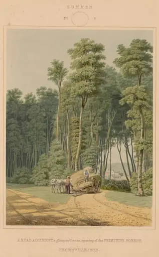 Summer--A Road Accident. A glimpse thro' an opening of the Primitive Forest. Thornville, Ohio, by William James Bennett