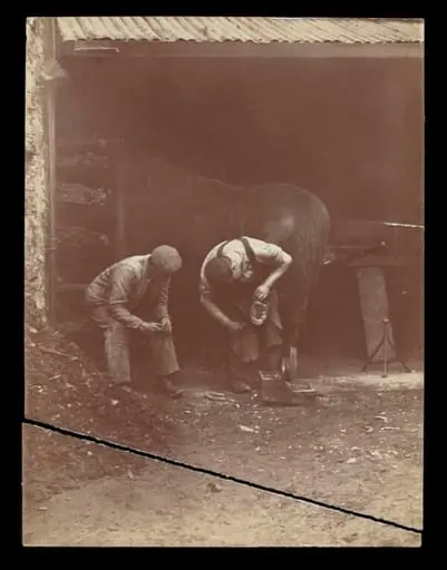 Shoeing a Horse, by William James Day