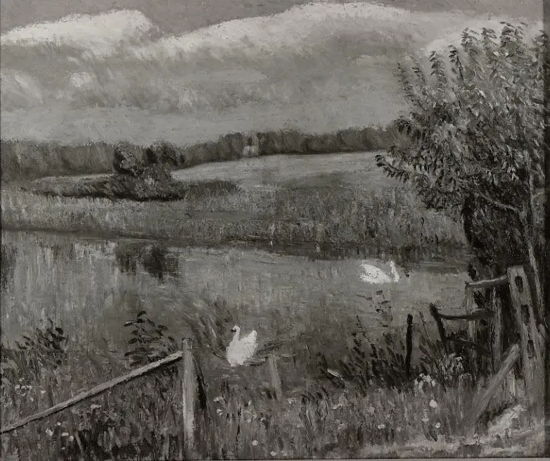 Swan Pond, Bellport, Long Island