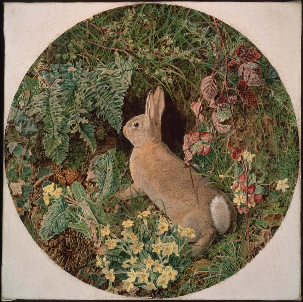 Rabbit amid Ferns and Flowering Plants, by William James Webbe, oil, 1855