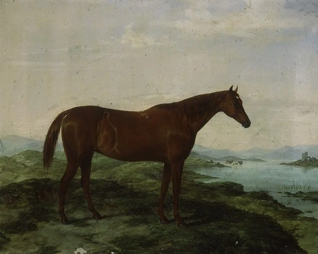 Portrait of hunter Molly Hick, by William Luker