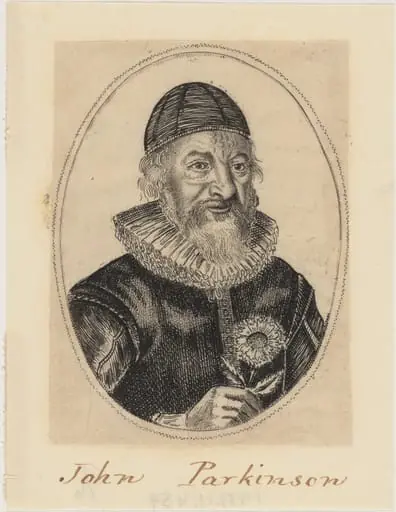 John Parkinson, Apothecary and Herbalist to James I, by William Marshall