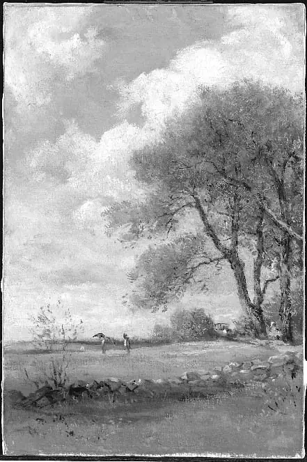 Meadows in Summer, by William Morris Hunt
