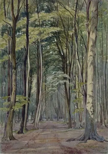 A beechwood, by William Noble Hardwick